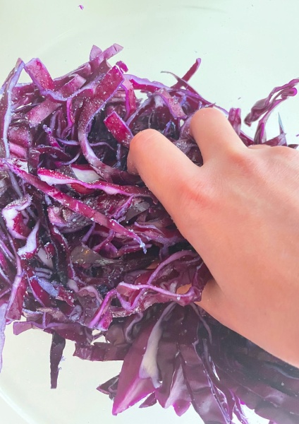 red cabbage pickled